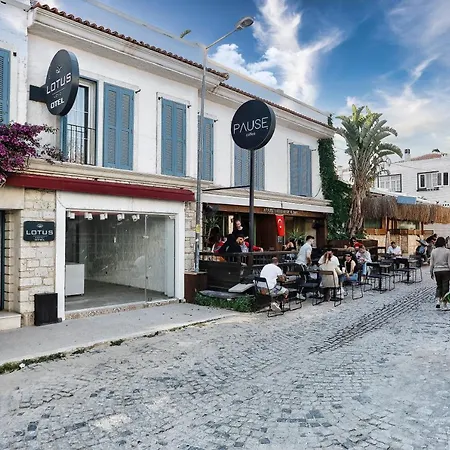 Hotel Lotus Koeyici